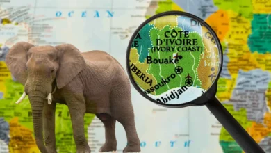 فيزا ساحل العاج الالكترونية