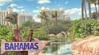 فيزا جزر البهاما الإلكترونية