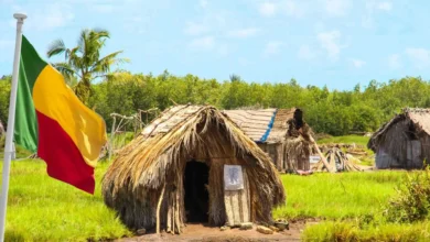 فيزا بنين الإلكترونية