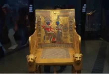 ما الذي تريد معرفته عن المتحف المصري الكبير ؟