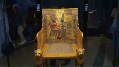 ما الذي تريد معرفته عن المتحف المصري الكبير ؟