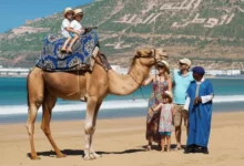 طفلين يمتطيان الجمل ضمن جولة سياحية بالمغرب